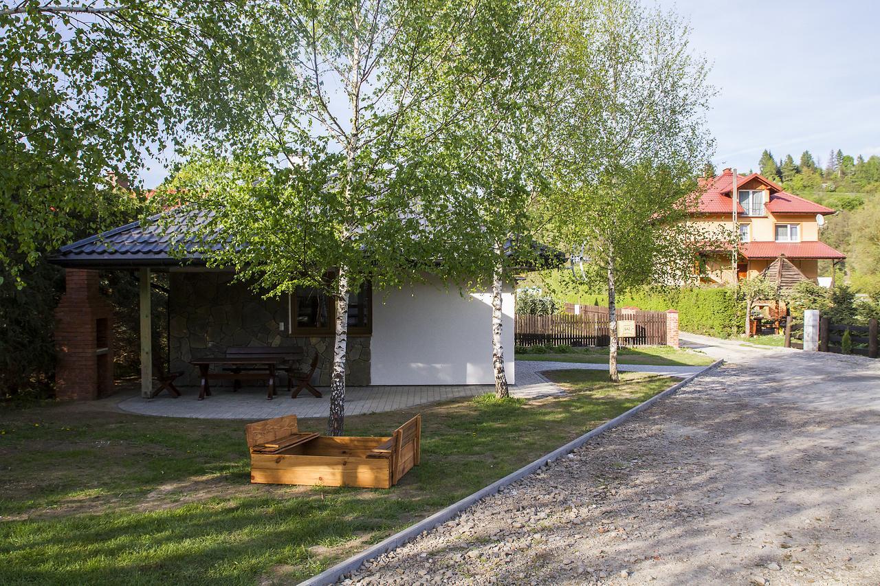 Appartamento "Miedzy Gruszka A Sanem" Lesko Esterno foto